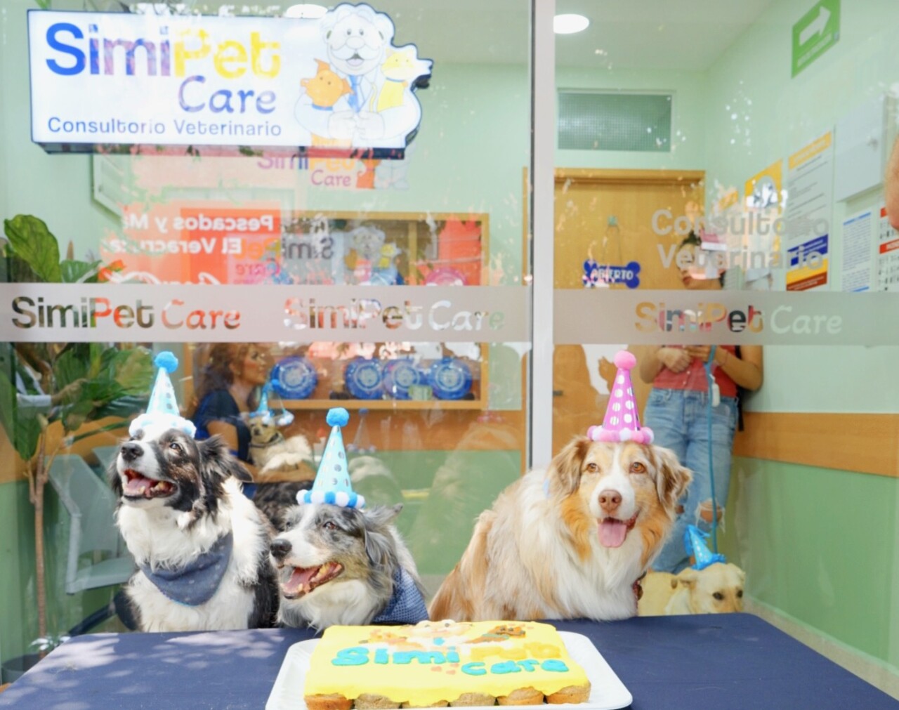 Simipet Care ya está en cinco estados en México, ¿Dónde están las ubicaciones y cuáles son los horarios?