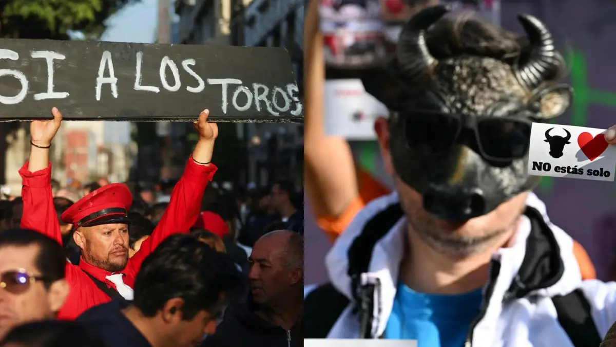 toros replica estados.jpg