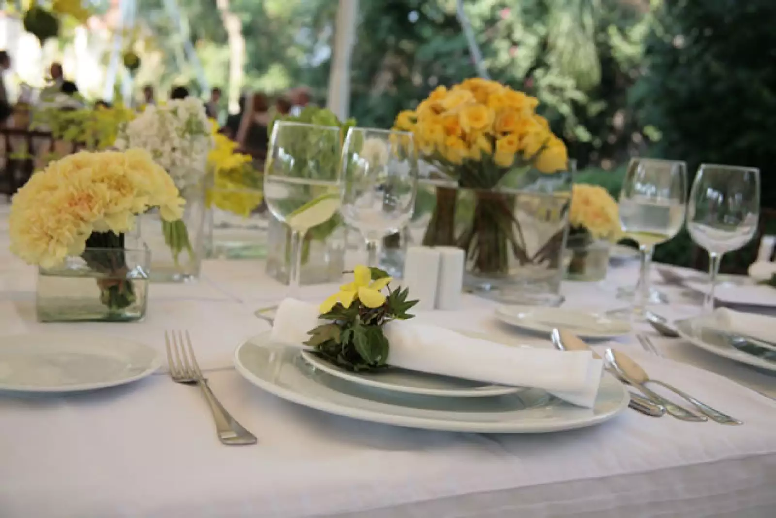 Boda en Cuernavaca de Barbara Deschamps y Manuel Tamayo