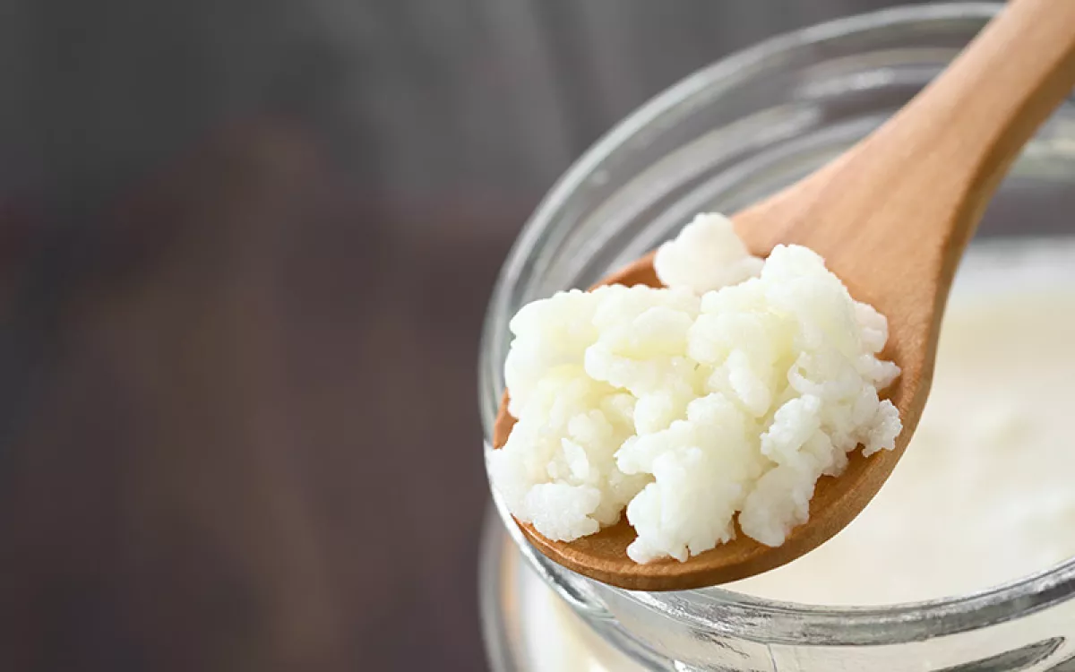 Probioticos-buenos-1