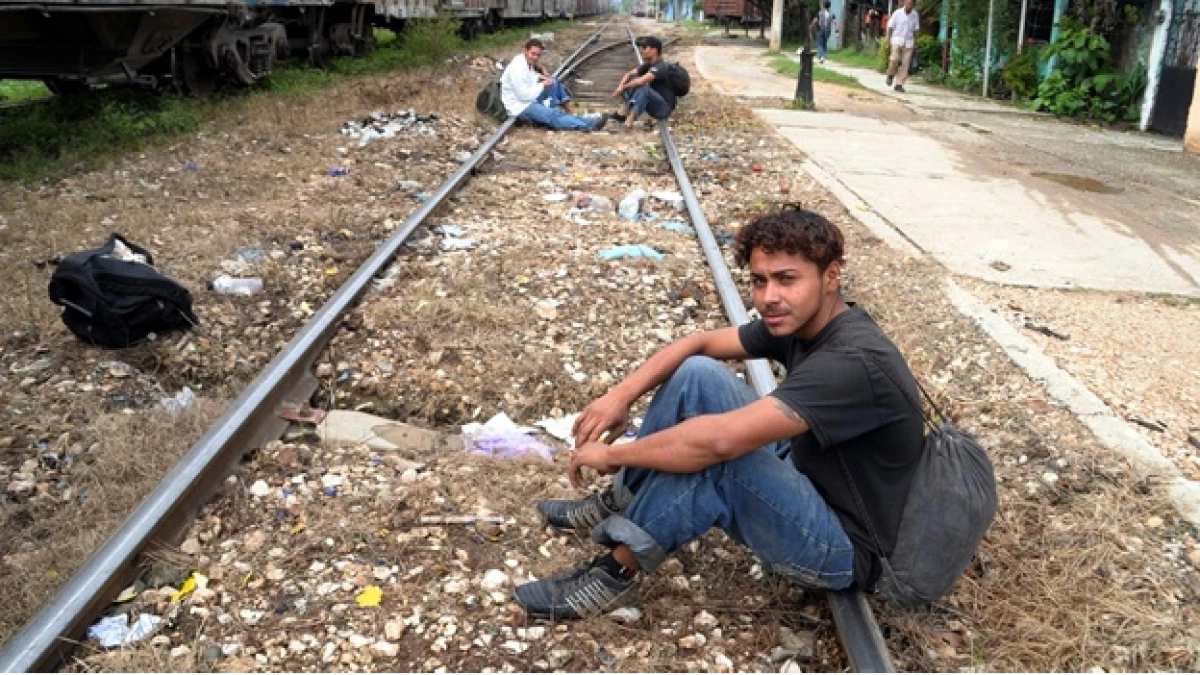 Migrantes Dos