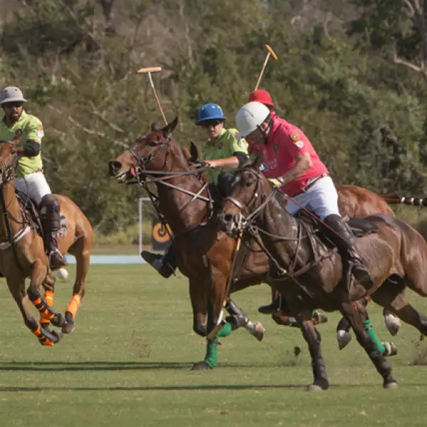 Diego Aguilar, Juan José de Alba y Hugo Villalobos