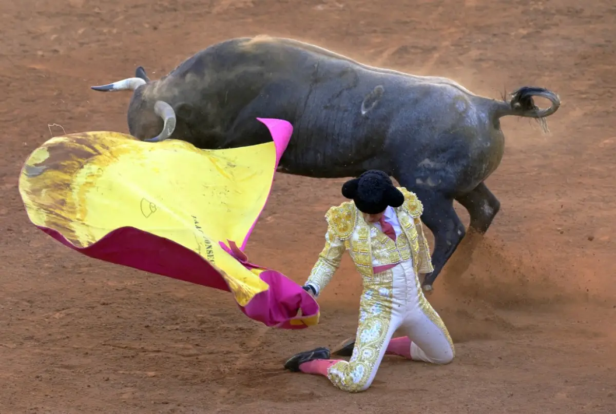  Golpe a la fiesta brava: la reforma a la tauromaquia que divide a empresarios y activistas
