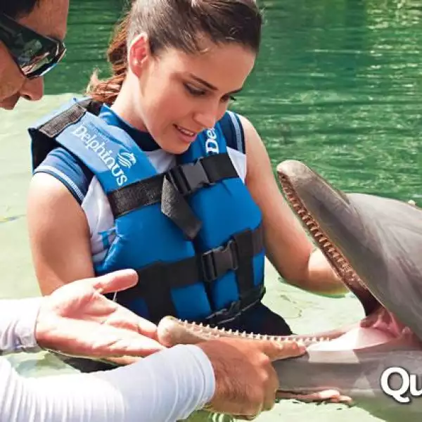 Ana Claudia Talancón rostro Delphinus