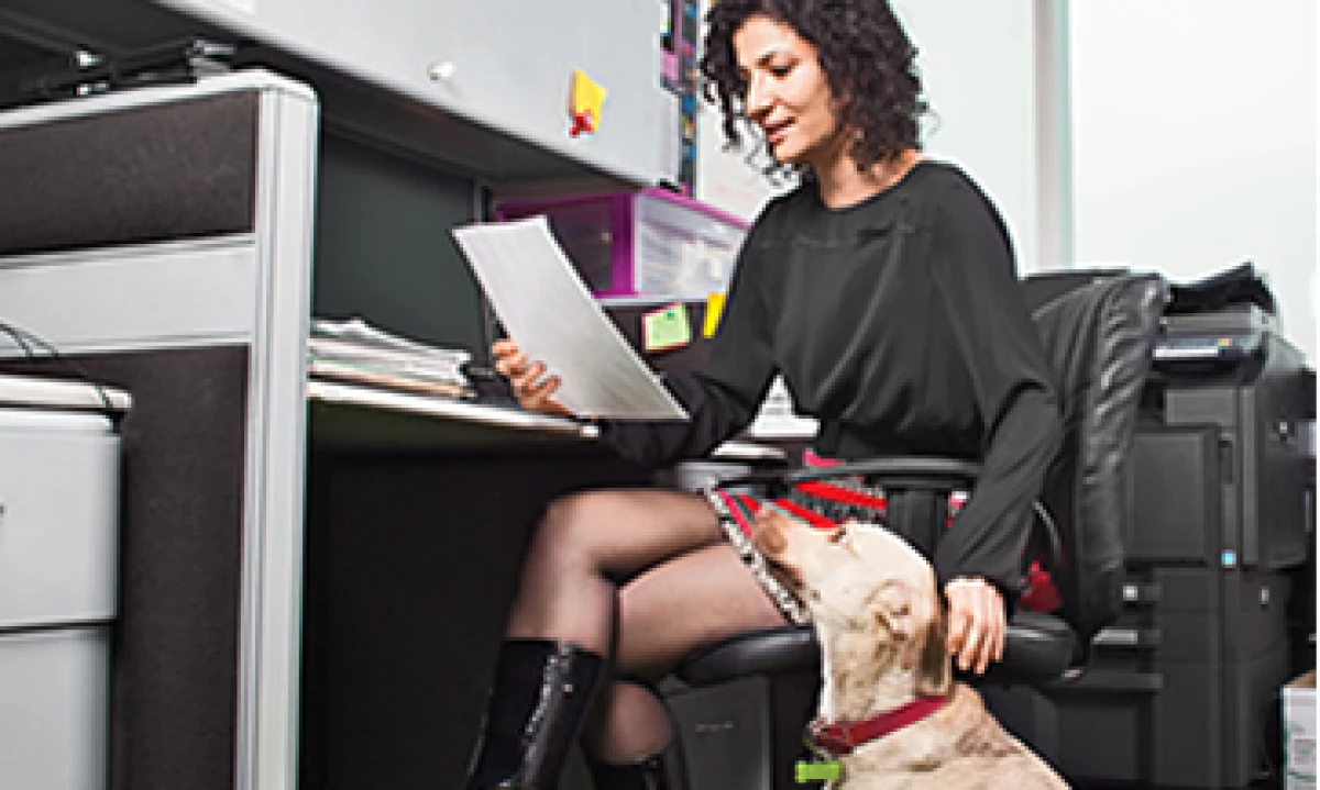 Mayor producitividad y socialización son algunos beneficios de llevar a tu mascota a tu trabajo. (Foto: Carlos Aranda)