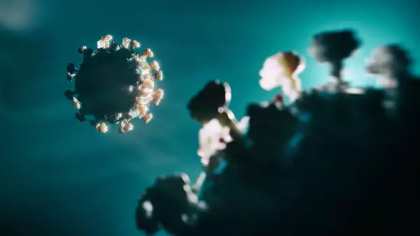 Imagen del virus SARS-Cov-2, que genera el Covid-19.