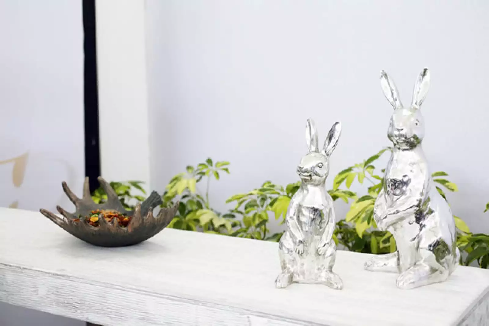 Hay productos tanto el interior como para el exterior de una casa.