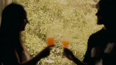 Dos mujeres brindando con una copa en una terraza