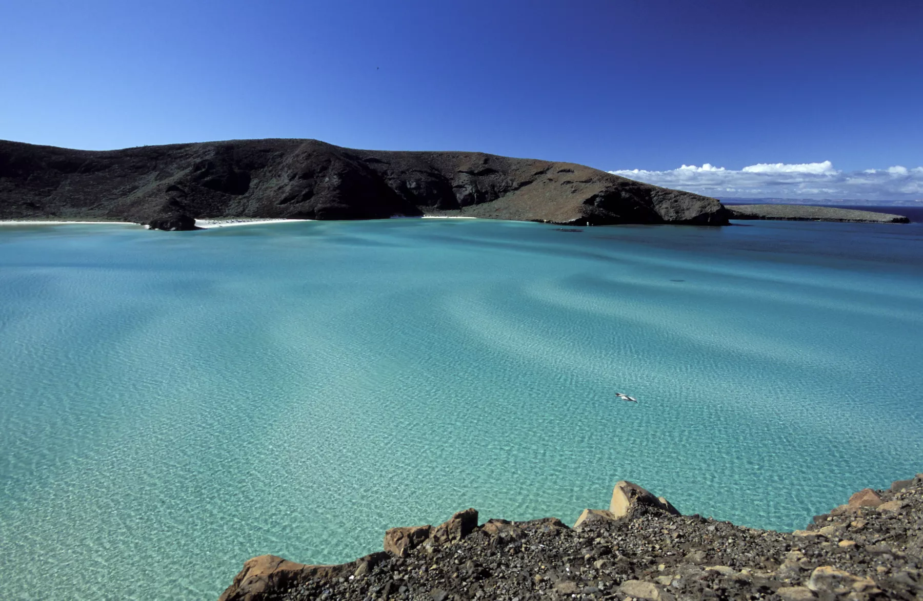 Las mejores playas en La Paz para visitar en verano