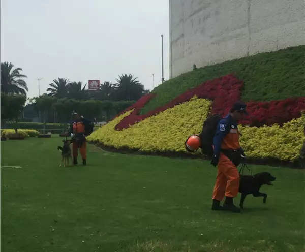 Rescatistas japoneses