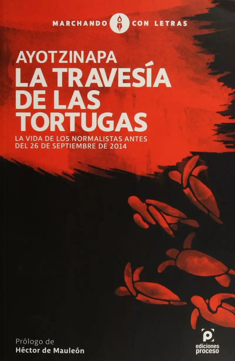 la-travesia-tortugas-.jpeg