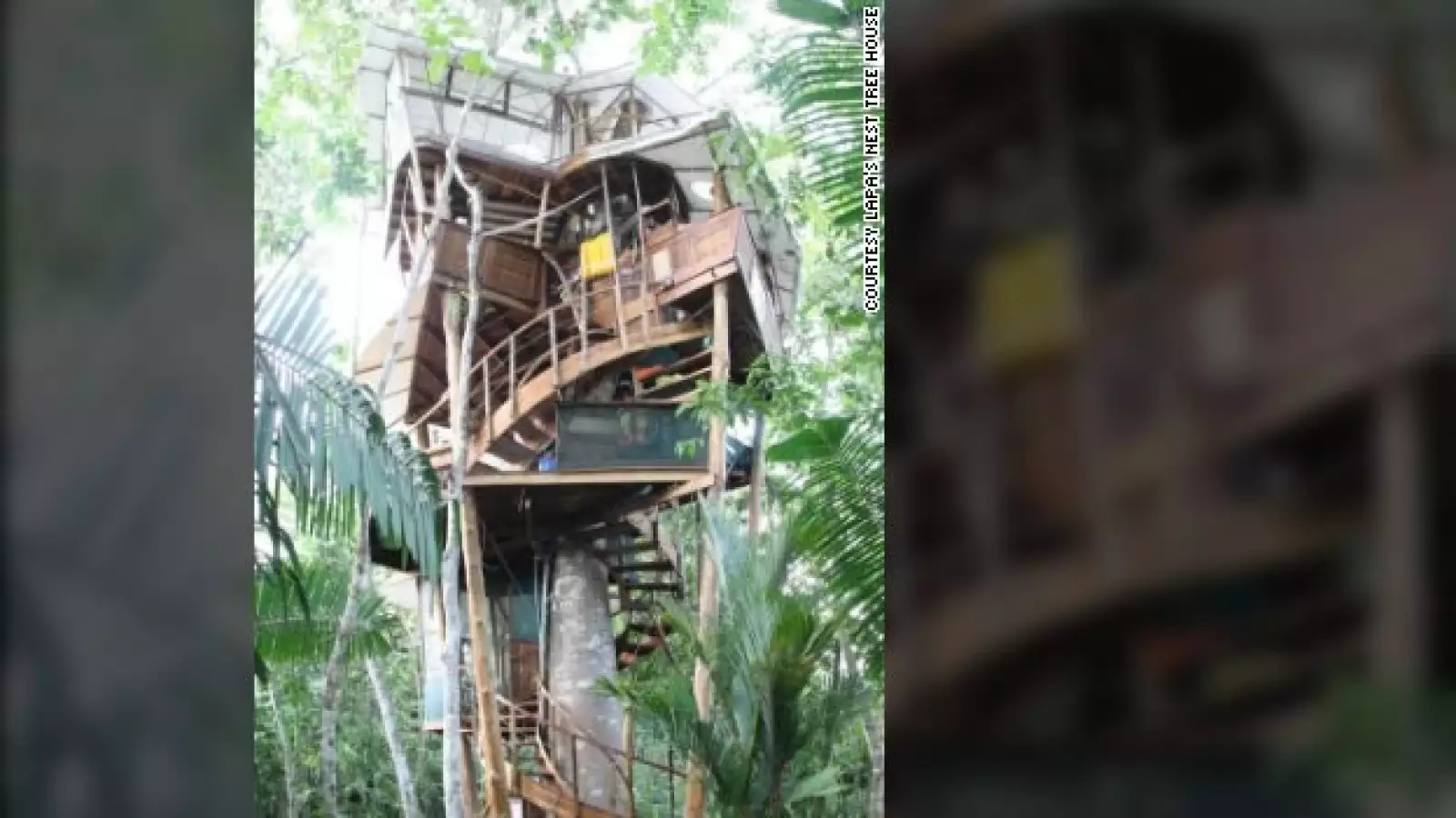 casa del arbol costa rica