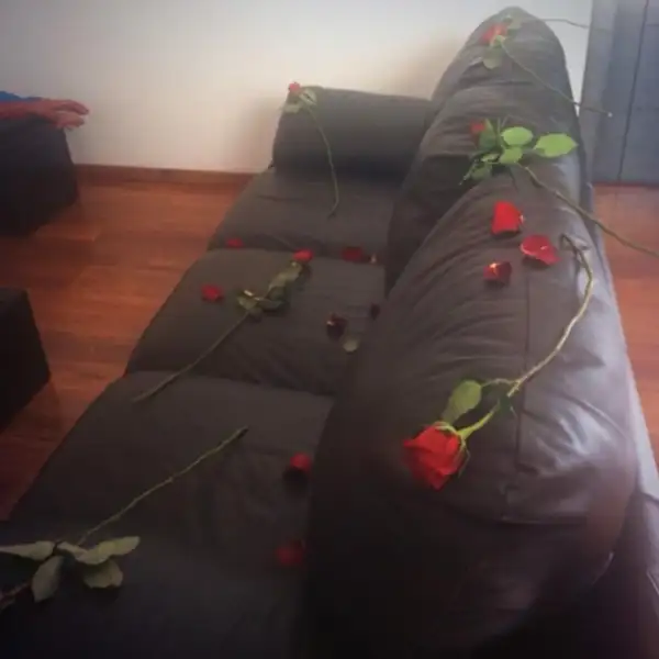 Pétalos de rosa en los muebles