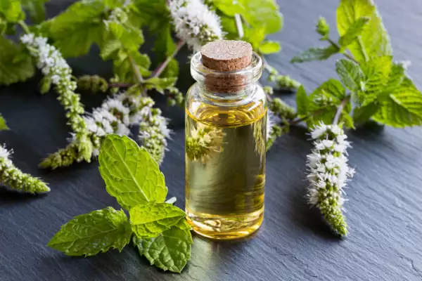 Aceite esencial de menta.