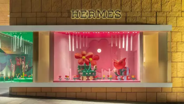 HERMES.jpg