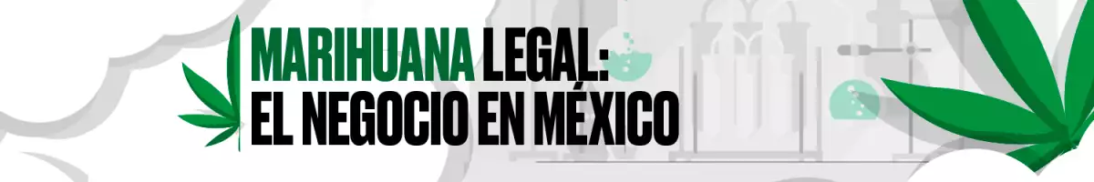 Marihuana legal / header desktop Expansión