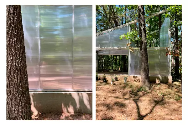 pablo pérez palaciosº1.jpg