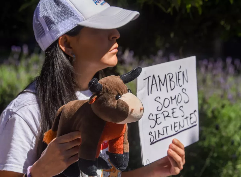 reformas estados maltrato animal