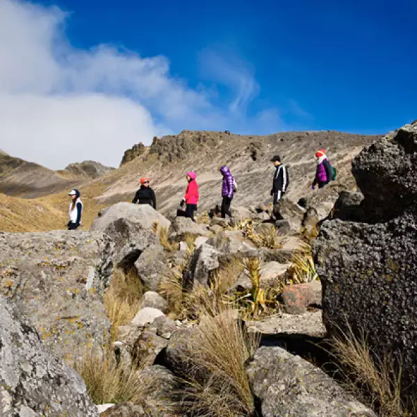 Caminata por el Nevado