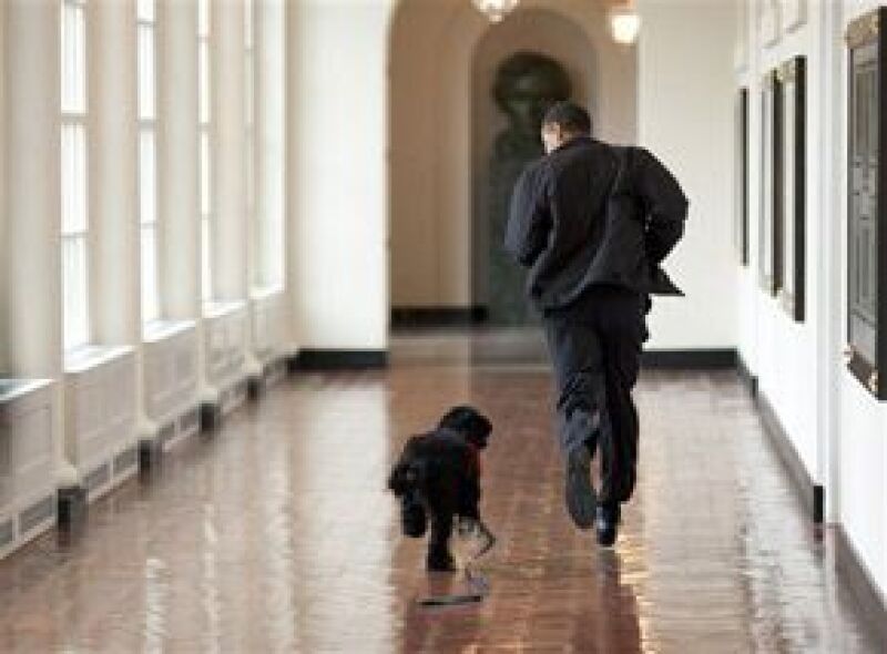 El can de agua portugués negro de seis meses es un regalo para la familia Obama del senador Edward Kennedy.