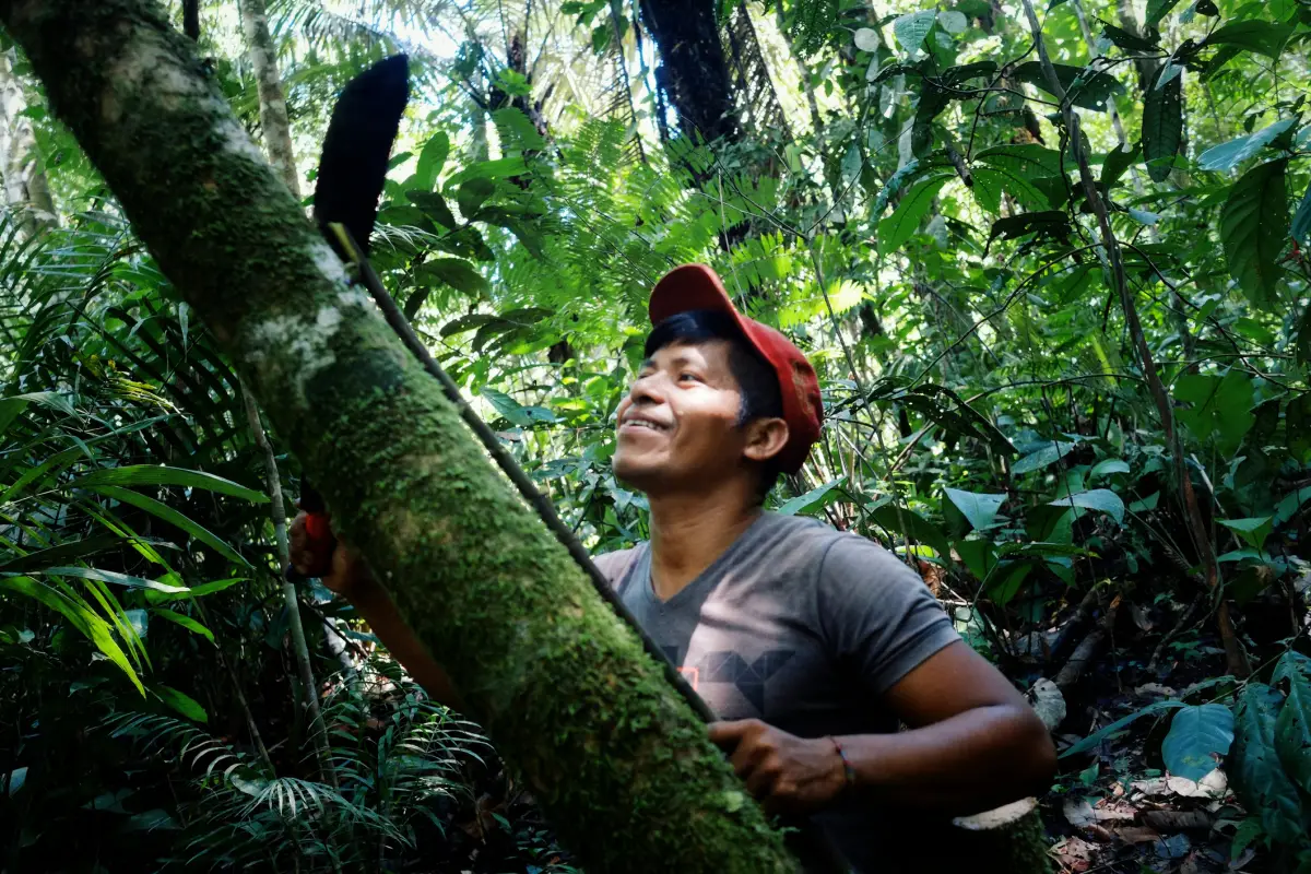 bosques-colombia-posconflicto