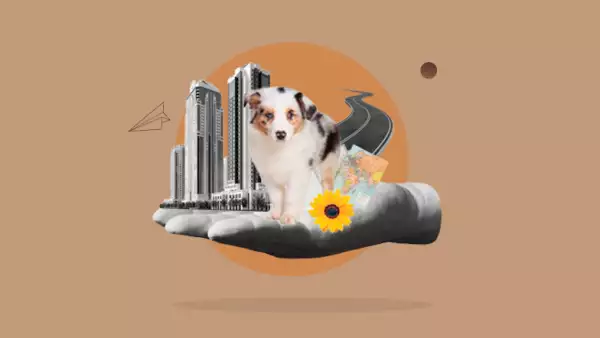 Perro