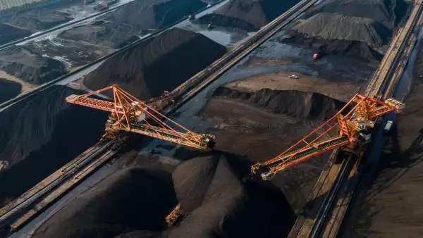 carbon y demanda mundial