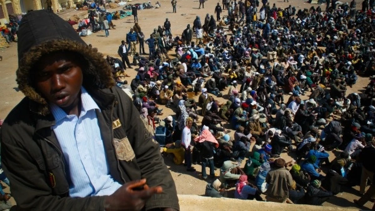 Refugiados