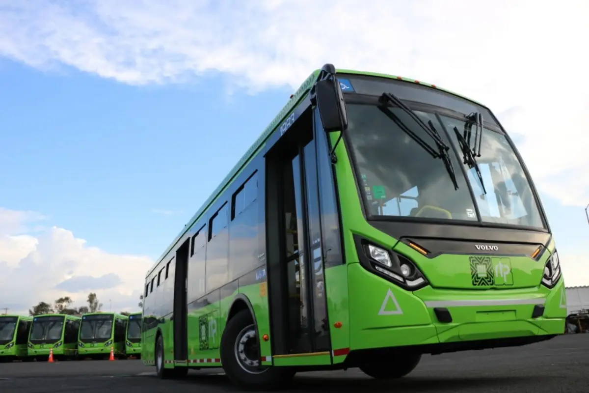 Autobuses RTP