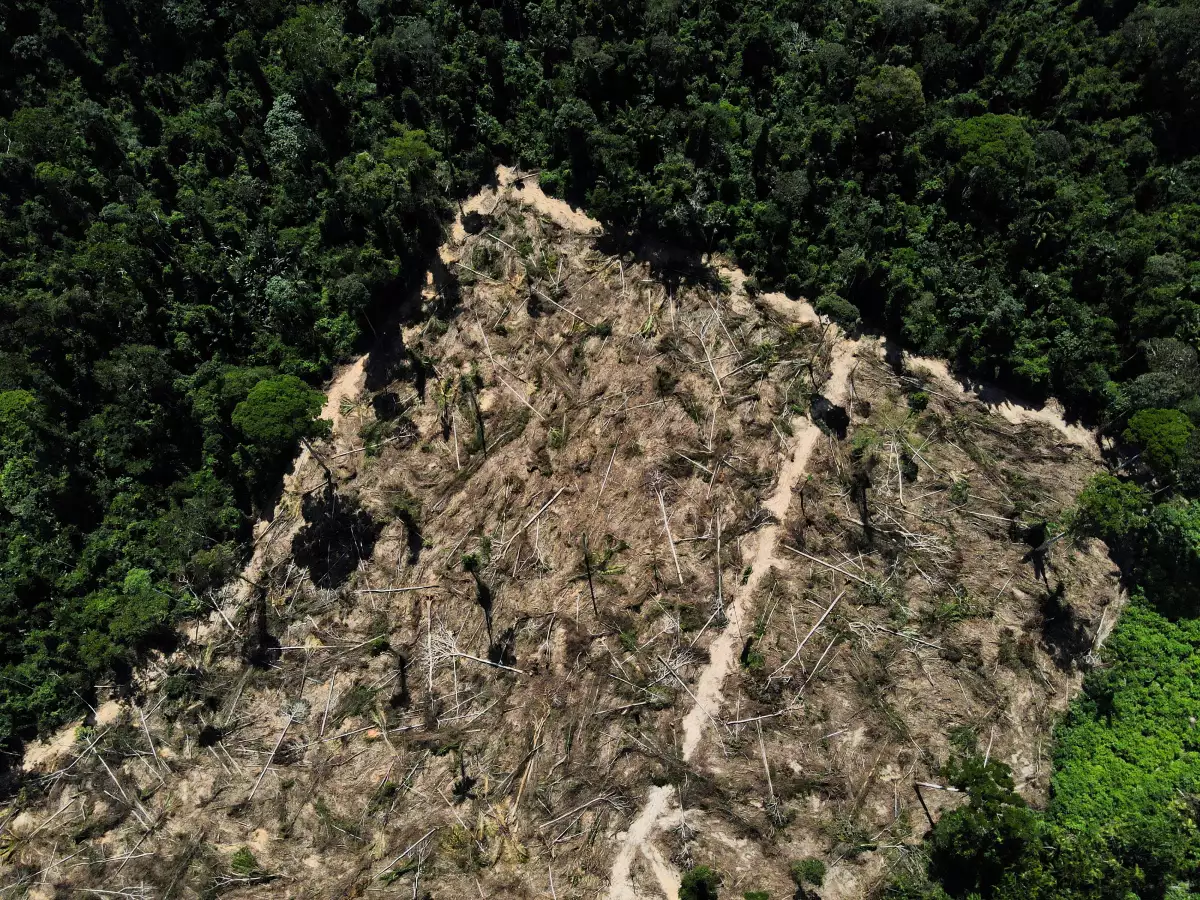 Una vista de una zona deforestada en medio de la selva amazónica, cerca de la carretera BR-230, conocida como Transamazonica, en el municipio de Uruara, Para, Brasil, 14 de julio de 2021.