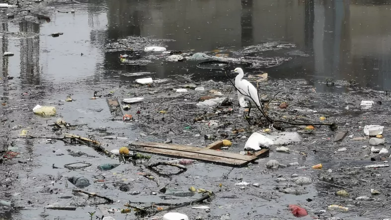 contaminacion rio