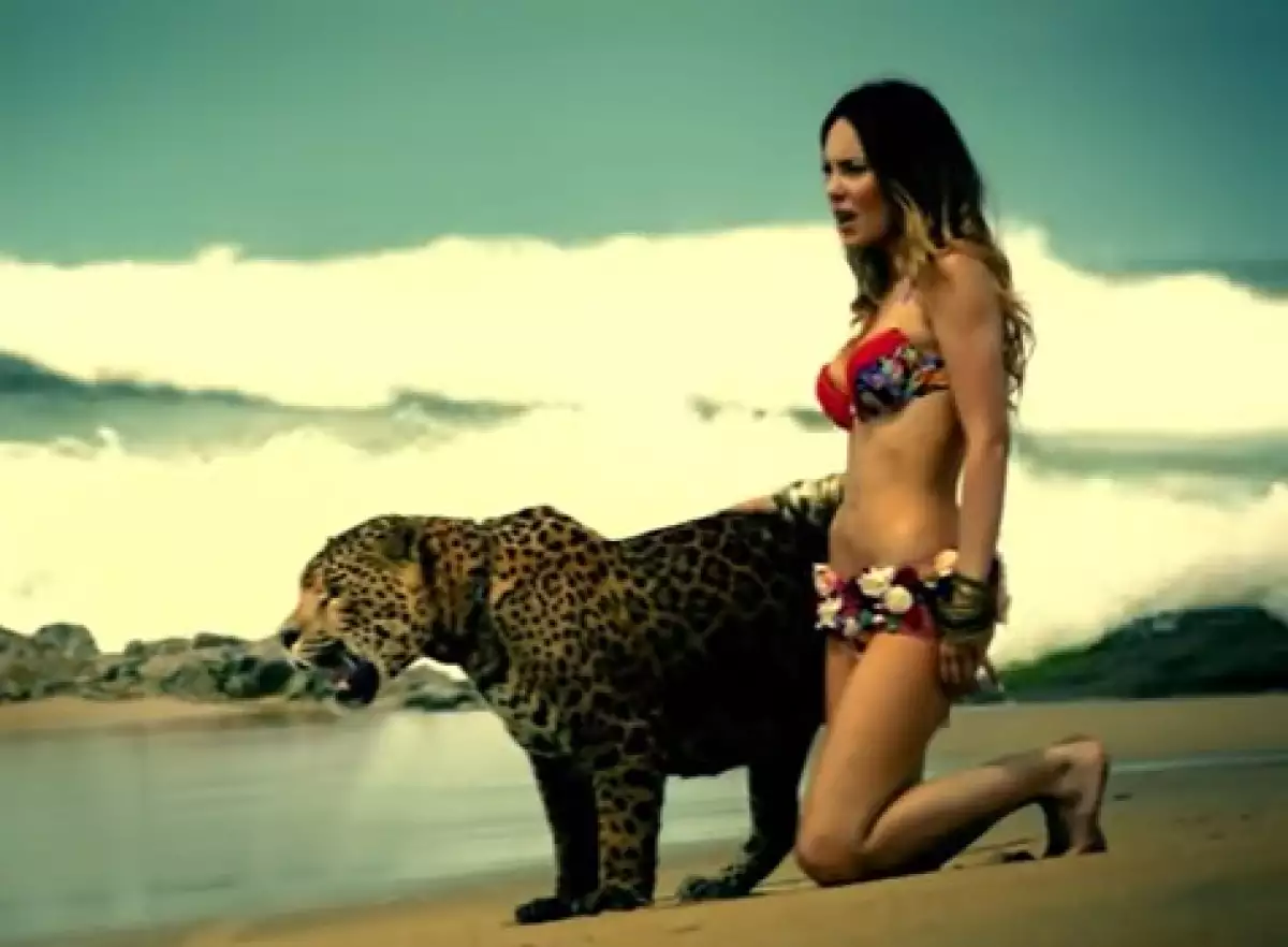 belinda-jaguar
