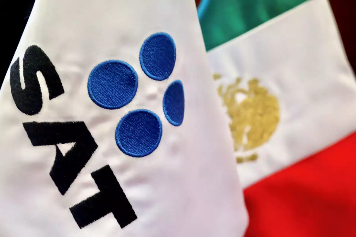 Más de 5 millones de contribuyentes piden saldo a favor al SAT