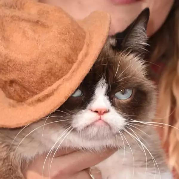 mtv_grumpycat_cine