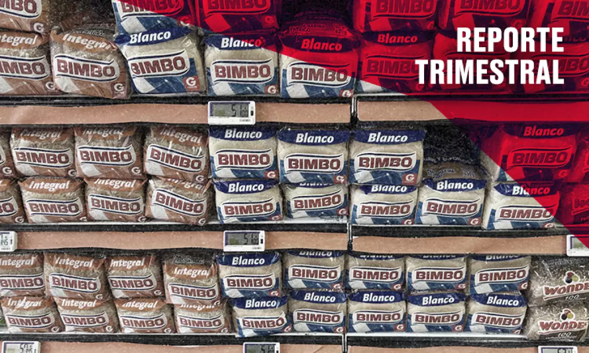 Bimbo crece en el sur, tropieza en el norte y ajusta su estrategia global