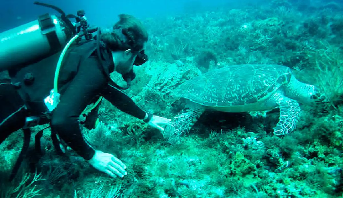 Pero Angelique no era la única habilidosa, pues incluso Sebastián logró grabar a su "yo marino", y además acarició a las tortugas.