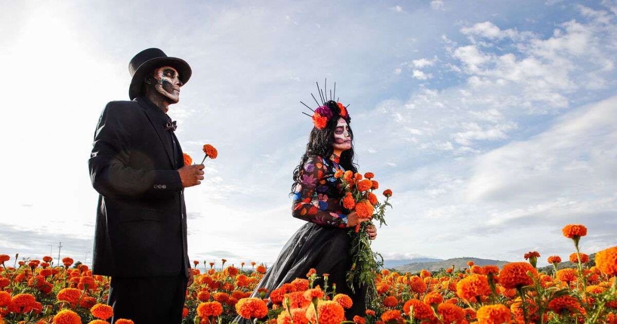 Jalisco se transforma en un santuario para honrar a nuestros difuntos con el Festival de las Almas 2026