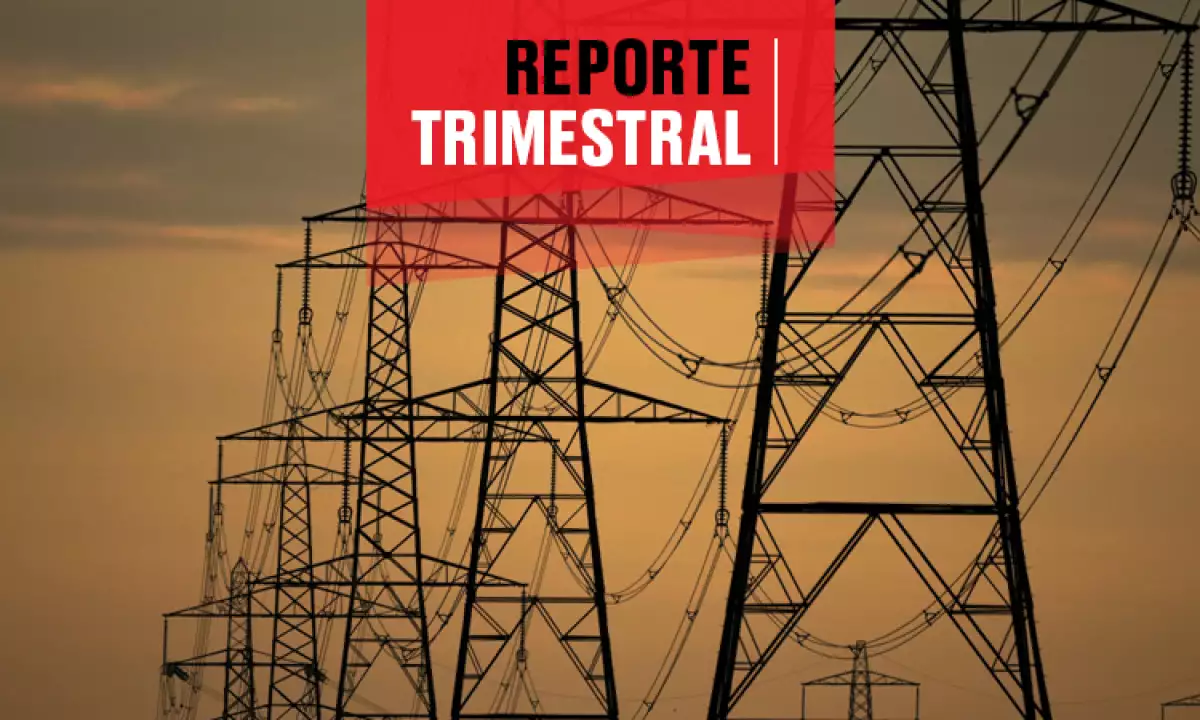 CFE reporte trimestral