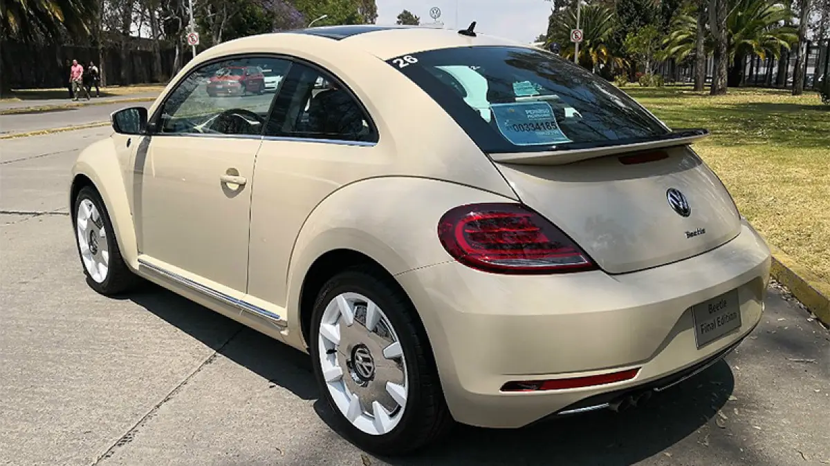 Beetle