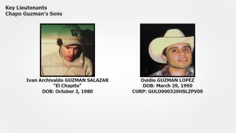 hijos_chapo