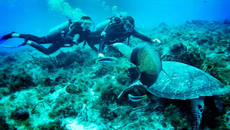 La pareja una vez más emprende viaje a los paraísos mexicanos en donde a través de buceo y exploración, comparten lo enamorados que están.