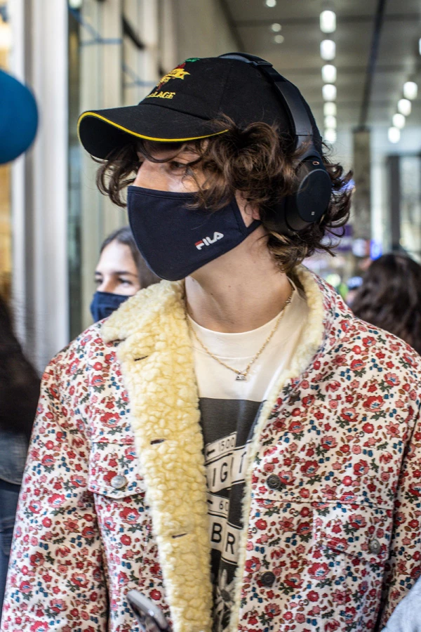 Foto: Shutterstock, Timothée Chalamet