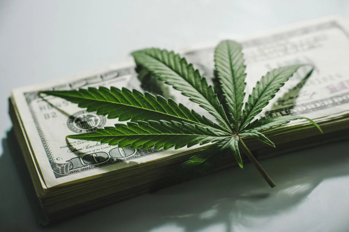 180822 marihuana is Yarygin.jpg