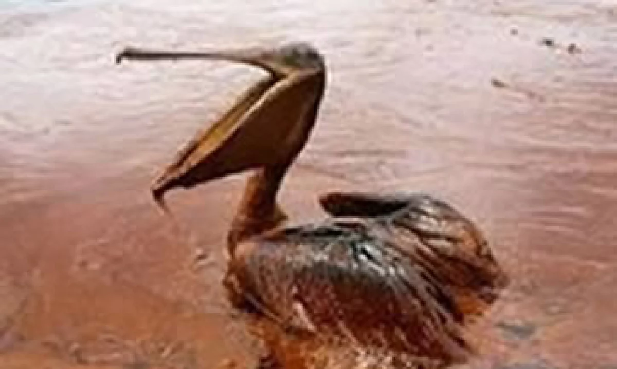 Más de 200,000 empresas e individuos reclamaron el pago de daños por alrededor de 4,100 mdd causados por el derrame de BP. (Foto: Archivo)