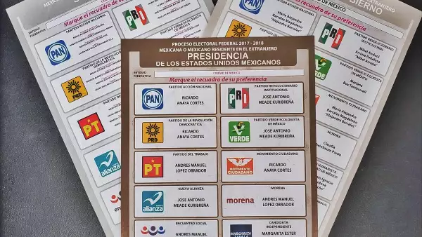 Margarita en la boleta