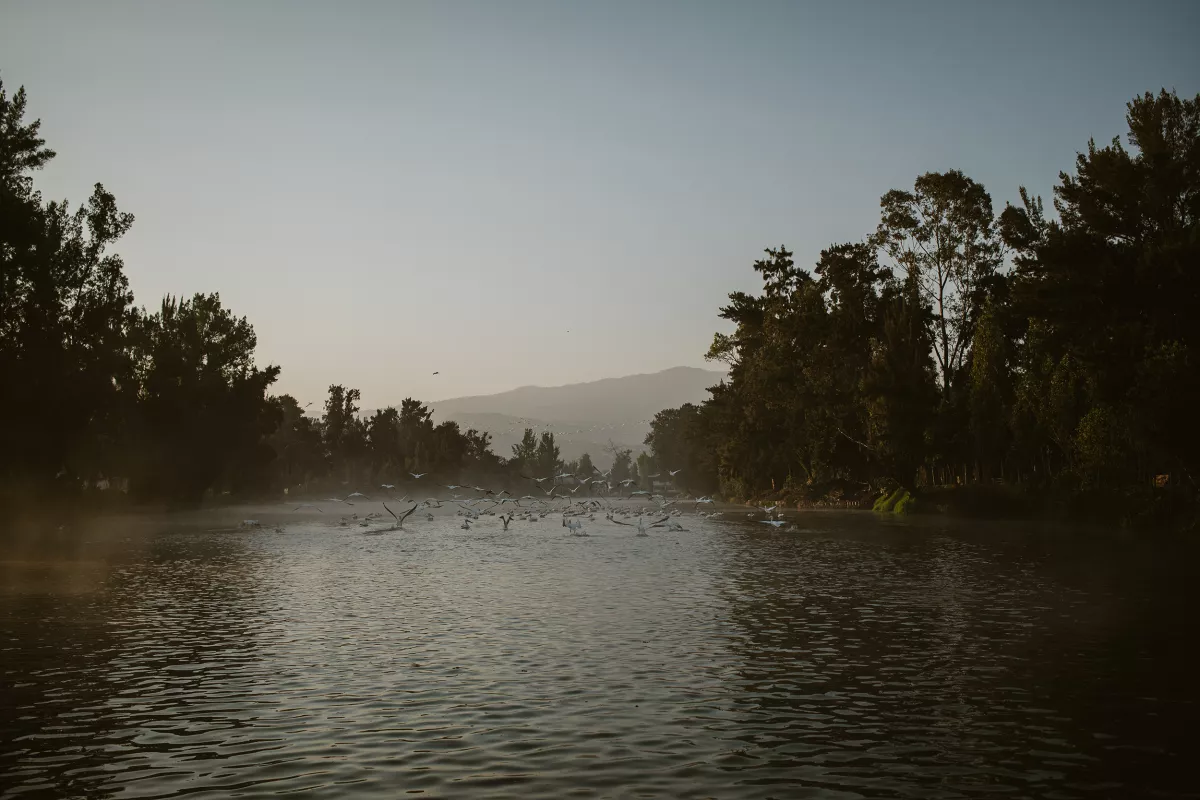 Chinampa_Veneta