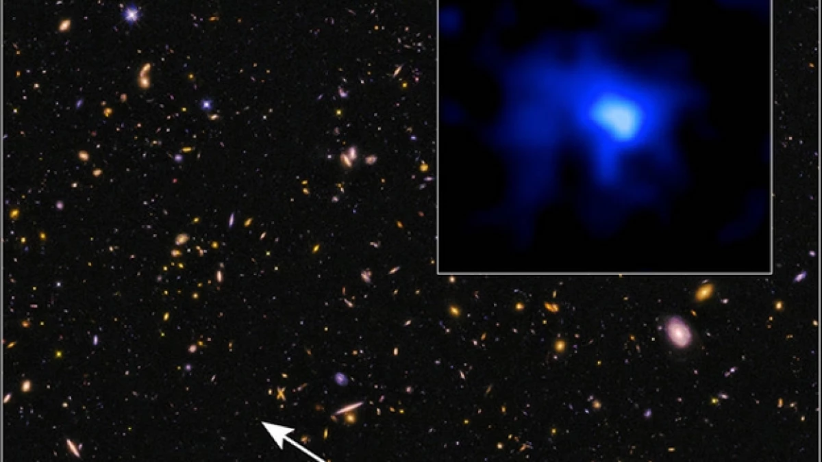 nueva galaxia lejana