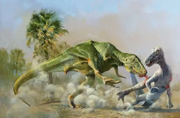 Tyrannosaurus y edmontosaurus