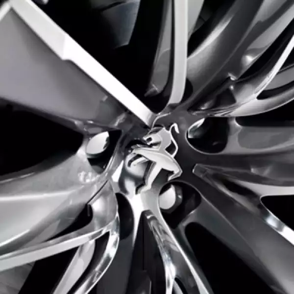 Sus rines completan un diseño diferentes, con marcas de acero inóxidable y el inolvidable león en su parte central.