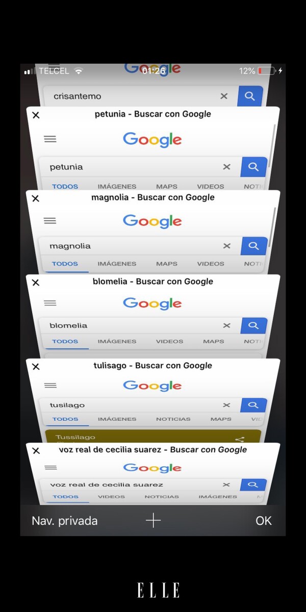 La-Casa-De-Las-Flores-Meme-ELLE-10
